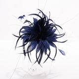 KAKYCO:  DOUBLE FEATHER FASCINATOR