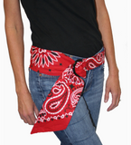 BANDANNA CO:  27" TEXAS PAISLEY BANDANA