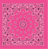 BANDANNA CO:  22" PAISLEY BANDANA