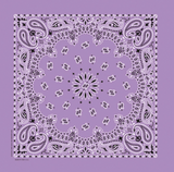 BANDANNA CO:  22" PAISLEY BANDANA